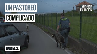 Thumbnail del capítulo