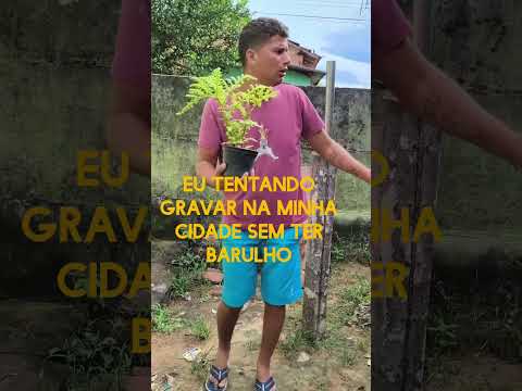 não tem bagulho na Piranhas Goiás pode gravar tranquilo ​#vlogdiaadia  #piranhasbarulhenta