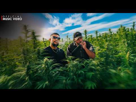 Costa x Kaizer Kaiz - Thanamalwila Kellek තණමල්විල කෙල්ලෙක් (Official Music Video)