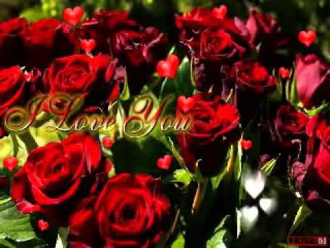 Sometimes You Just Know.avi