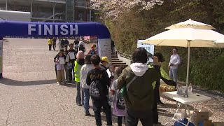 봄바람 따라 걸어요!...'남산 가족 걷기 대회' 성황 / YTN