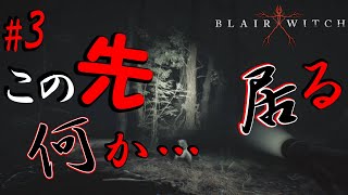 ゴリラも歩けば…化け物に当たる…【ブレアウィッチ】＃ 3