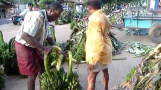 preview picture of video 'Sri Lanka,ශ්‍රී ලංකා,Ceylon,Banana Market wholesale'