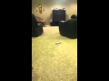Scary Elmo Remote And Tv