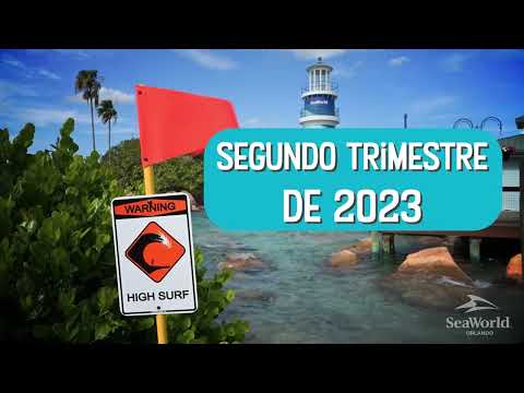 Teaser da Pipeline, a nova montanha-russa do SeaWorld Orlando