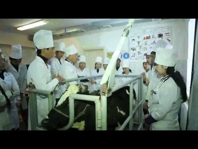 Auezov South Kazakhstan State University видео №1