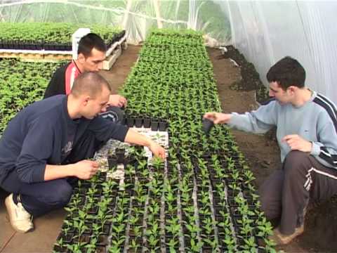 Raskršće Teen Challenge - Graduates 2007