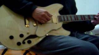 Video thumbnail for Epiphone The Dot V.S Ibanez AS103 by Jack Cheng