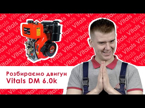 Розбір дизельного двигуна VITALS DM 6.0k (6 к.с., шпонка 25.4 мм)