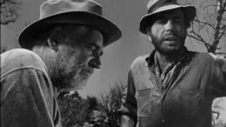 The Treasure of the Sierra Madre (1948) Video