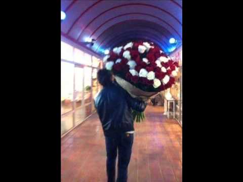 Happy birthday Wahiba!