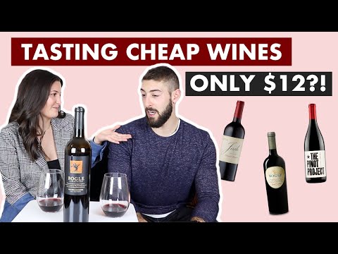 5 Best Budget Red Wines (ALL Under $15!!)