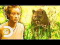 Mountain Lion Invades Camp! | Naked And Afraid