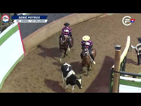 Kaid y Acevedo buscarán la clasificación a Rancagua en las siguentes series Libres de Pelarco 2023