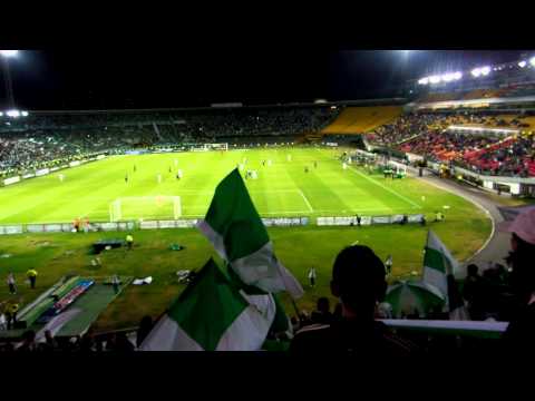 "Nacion Verdolaga" Barra: Nación Verdolaga &bull; Club: Atlético Nacional