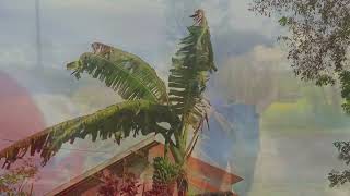 Download lagu Suasana Pedesaan | Story WA mp3