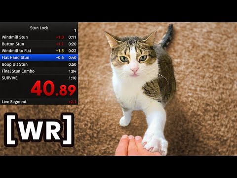 Stun-Locking My Cat Until He Crashes Out Speedrun (WR)