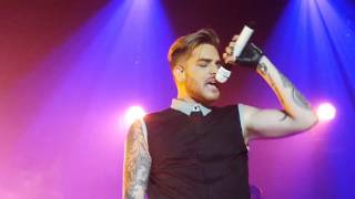 Lucy Adam Lambert DC    The original High