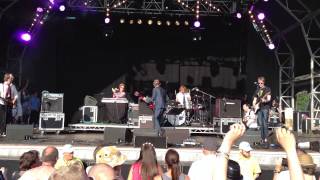 Steve Cradock -- Ocean Colour Scene