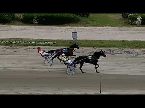 Aversa trotto 20 Maggio 2023 - Prova di qualifica
