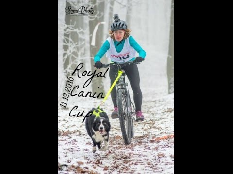 Royal Canin Cup - Slovakia // Frida - BJW 1st place