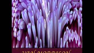 Van Morrison - I&#39;m Not Feelin&#39; It Anymore