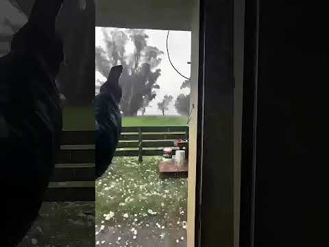 🧊⚠️⛈️URGENTE, CHUVA DE GRANIZO COLOSSAL!!!caiu sobre #generalguido , em #buenosaires , na #argentina