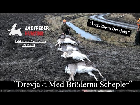 "Drevjakt Med Bröderna Schepler" (Årets Bästa Drevjakt. Micke skjuter 7 Dovhjortar)