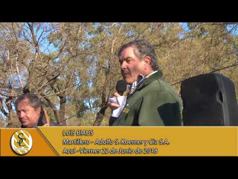 22-06-18 Nota Luis Biaus - Adolfo S. Koerner y Cia S.A. - Azul.