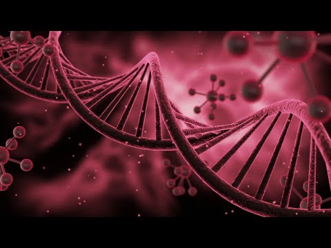 528Hz Regeneración completa del cuerpo Curación completa del cuerpo Cura Física y Emocional