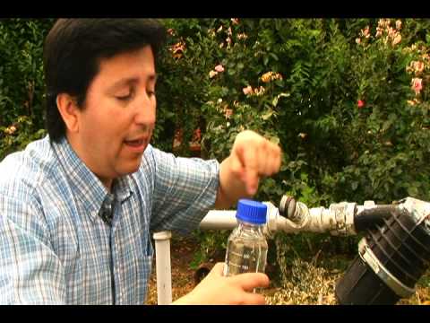Berries: testing well water