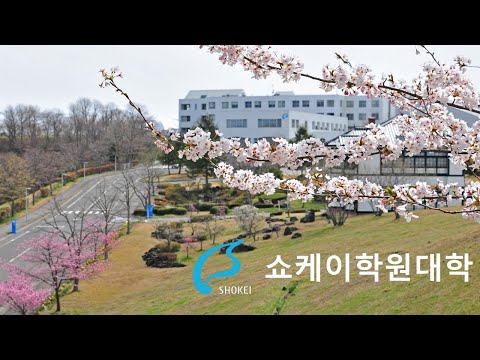 쇼케이학원대학 SHOKEI GAKUIN UNIVERSITY 2021 Short Movie（한국）
