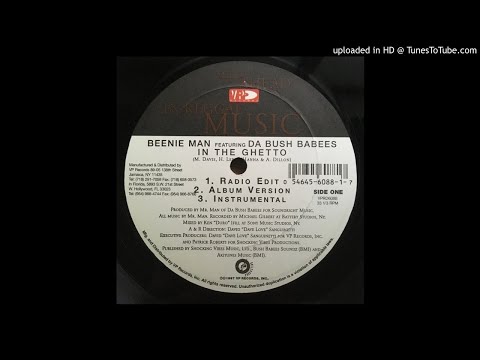 Beenie Man FT. Da Bush Babees - In The Ghetto (Radio Edit Version)