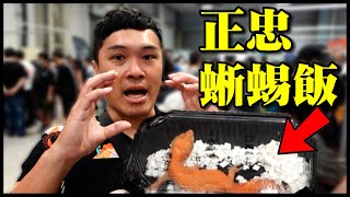 [問卦] 沒想到台灣爬蟲迷超多