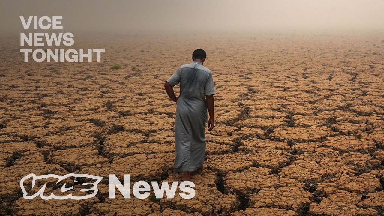 Iraq's Dying Garden of Eden