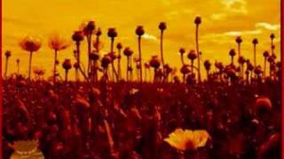 Opium Music Video