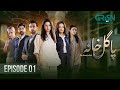 Pagal Khana Episode 01 Saba Qamar Sami Khan Momal Sheikh Green TV Drama