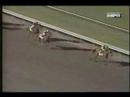 Serena's Song Haskell Invitational 95'  Full Race!