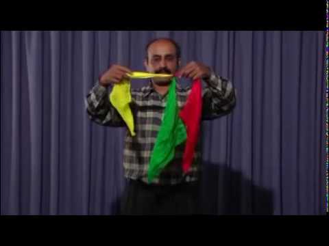 BEWILDERING SILKS.mp4