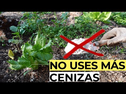 , title : 'NO USES MÁS CENIZAS En Tus PLANTAS Sin SABER ESTO 🔥 USOS de la CENIZA para HUERTO Y JARDÍN'