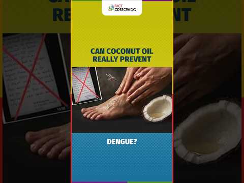 Fact Check Can Coconut Oil Really Prevent Dengue