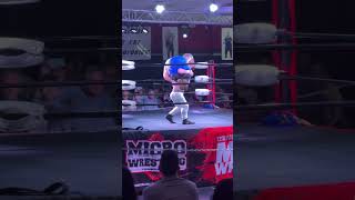 New Micro Wrestlers in the ring