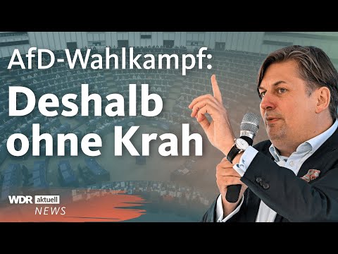 AfD verhängt Auftrittsverbot für Maximilian Krah | WDR Aktuelle Stunde