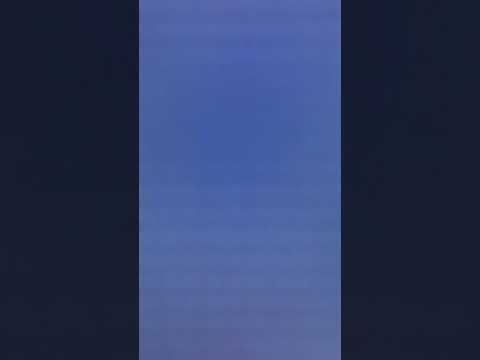 Radical Posture “THRASH ME”- (2009)