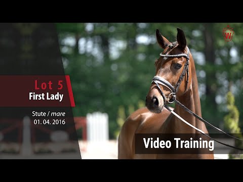 5 First Lady v. Feedback - Belissiomo M_Trainingsvideo