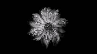 Max Richter - The End Of All Our Exploring (The Leftovers)