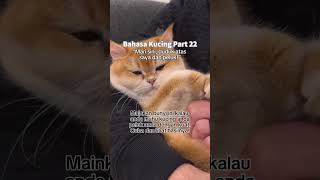 Download lagu Bahasa Kucing Part 22!🐾😻 mp3