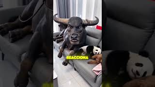 ¡Le Di Al Perrito! 🐶😂😅