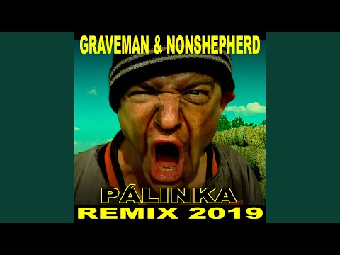 Pálinka (Remix 2019)