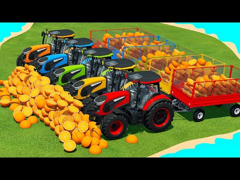 LOAD AND TRANSPORT HALF ORANGES WTIH LANDINI TRACTORS - Farming Simulator 22